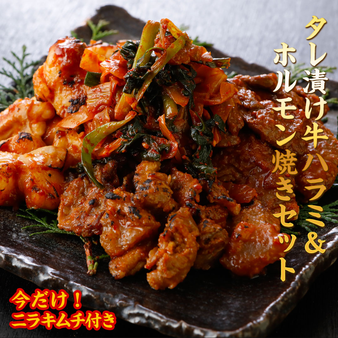 牛ハラミ＆ホルモン焼きセット